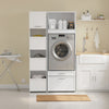 SoBuy BZR230-W Colonne de Buanderie 66 × 60,5 × 186 cm – 2 Tiroirs et Tringle Escamotable, Blanc